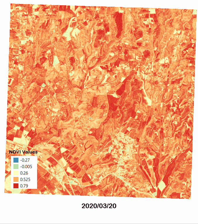 Forest_NDVI2.gif